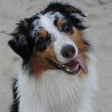 Cécile