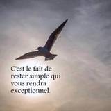 Cél
