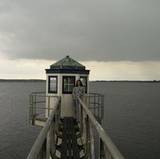 Estelle