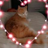 Val