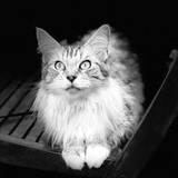 Fabienne