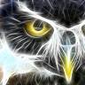 Bubo