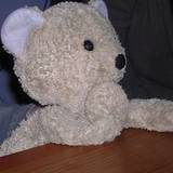 Clotilde