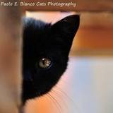 Sandrine