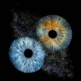 Cin