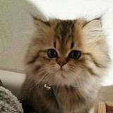 Emilie