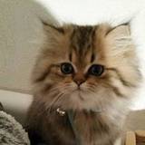 Emilie
