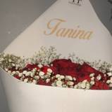 Tanina