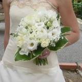 Carine
