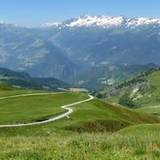 Garnier