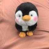 Raja