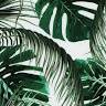 Fanchon