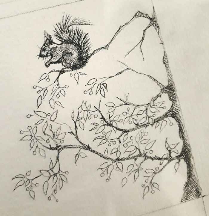 Ca se précise ^^...