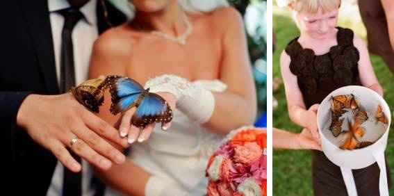  Le lancer... mais de quoi? - 8