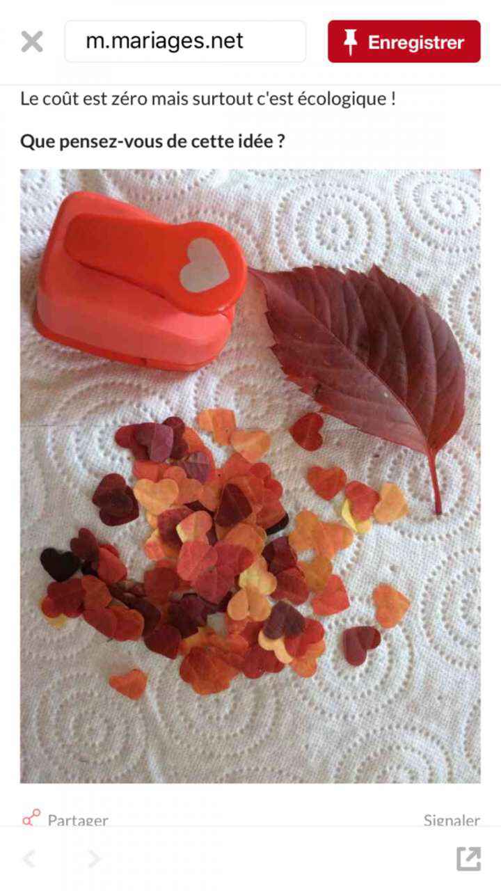  Confettis biodégradables - 1