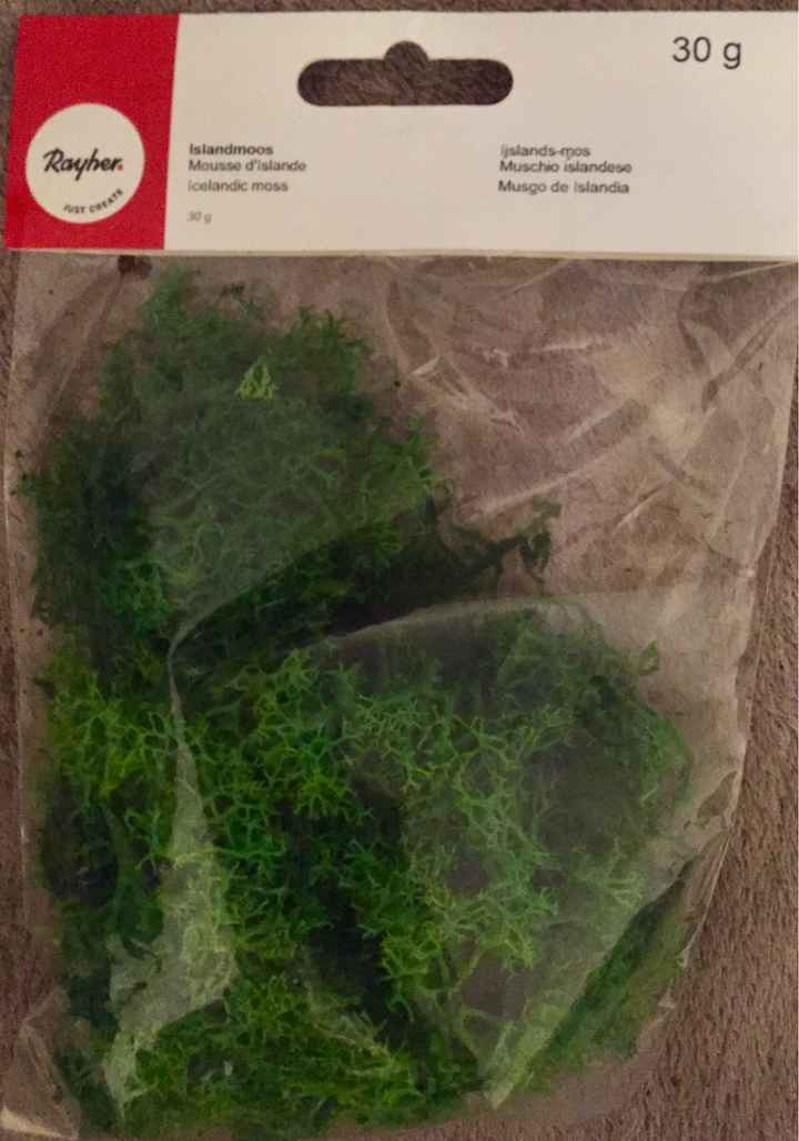 Petit achat du jour - 4