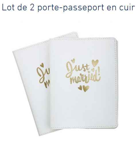 porte passeport pour les voyageuses comme moi