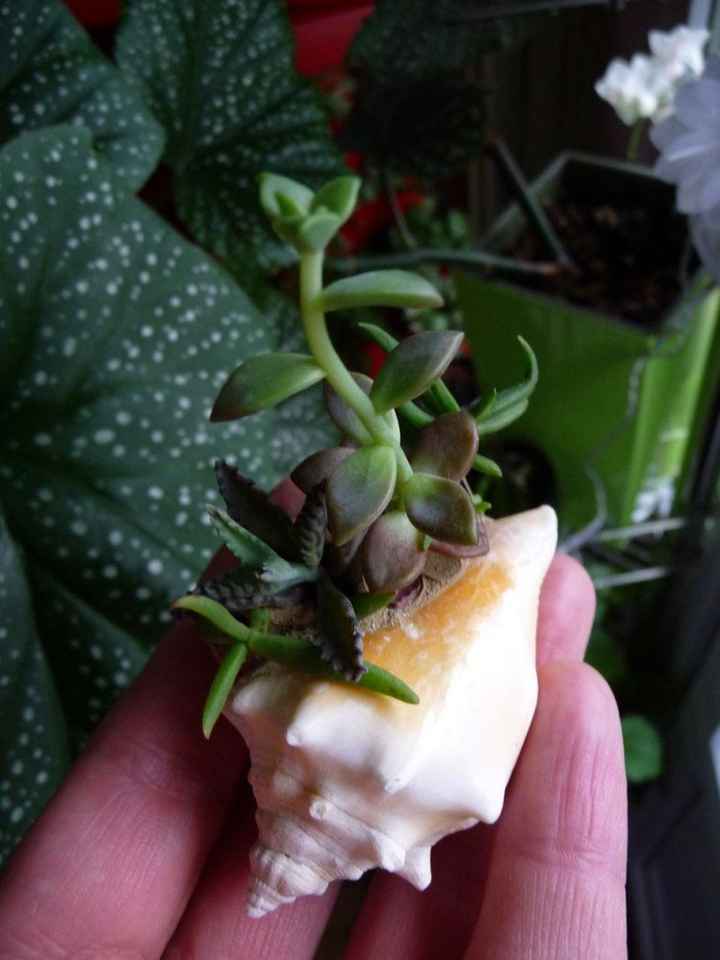 Besoin de votre avis - 1