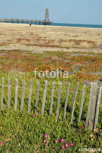 Besoin de votre avis - 2