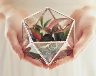 Mon porte alliance! 1