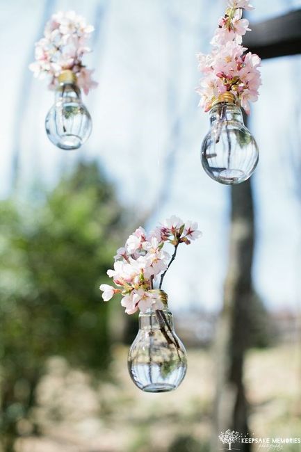 Mini vases ampoules
