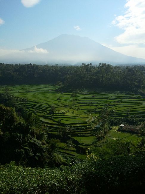 Notre voyage à Bali (2)