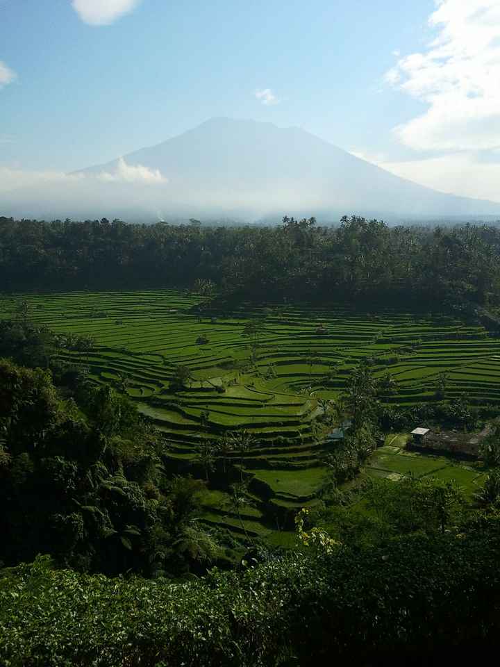 Notre voyage à Bali (2)