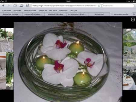 Orchidée