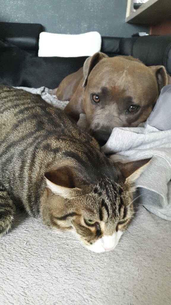 Pension réservée pour mon dindon... - 3