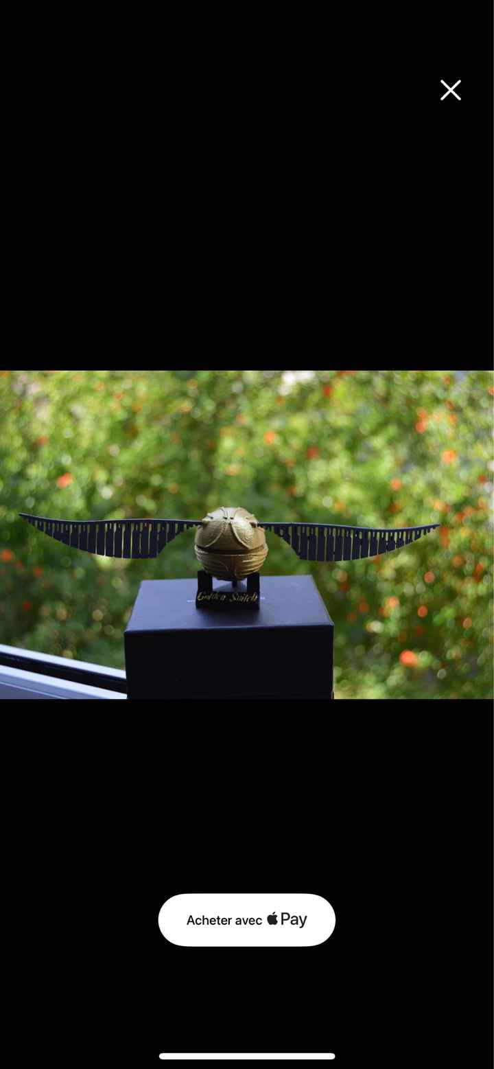 Mariage sur le thème Harry potter - 2