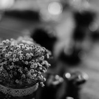 Gypsophile et dentelle