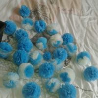 Mes pompom !!! - 1