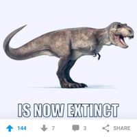 Amusons-nous, le virus ne nous aura pas! - 1