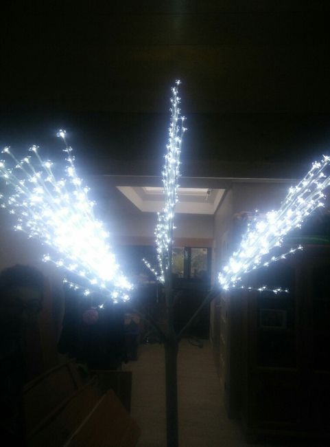 Essayage achat arbre lumineux - 1