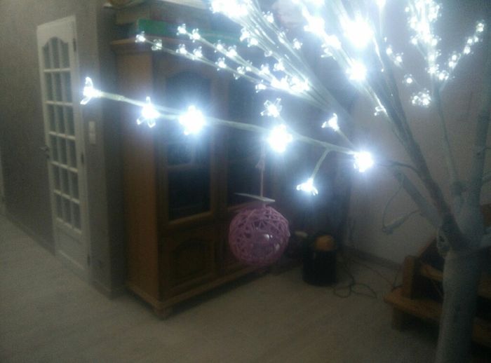 Essayage achat arbre lumineux - 2