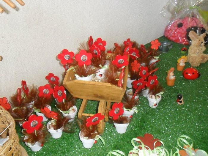 bapteme robin theme jardin