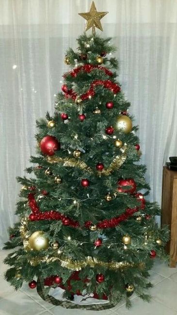 A vos sapins !!! - 1