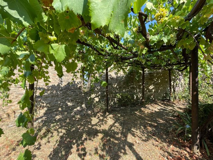 Animation cocktail 2