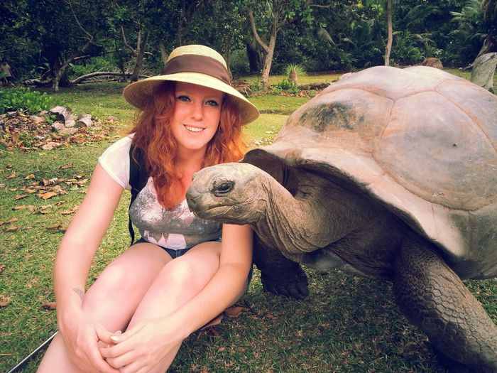 Tortue geante des Seychelles