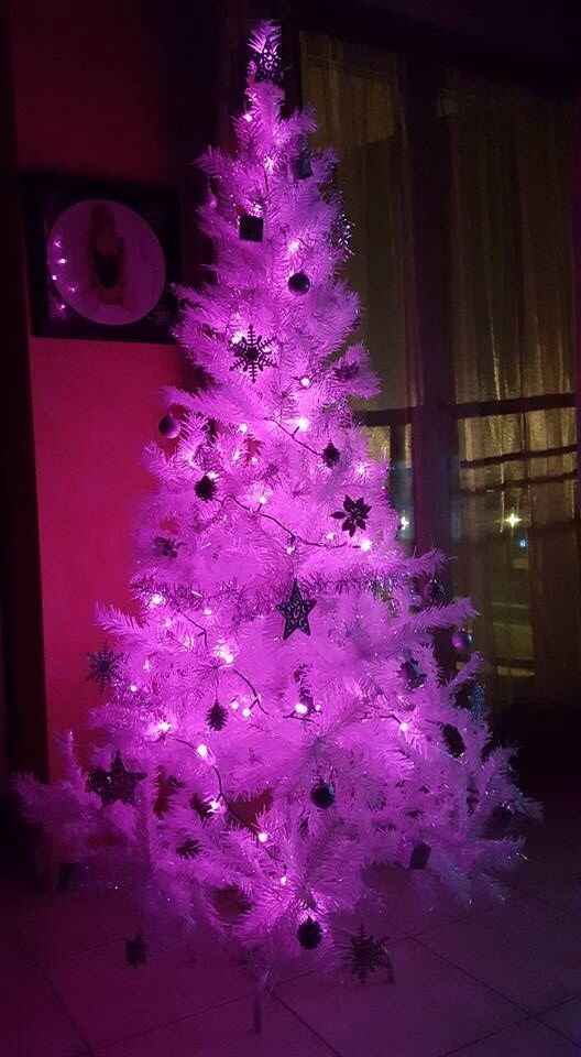 Sapin