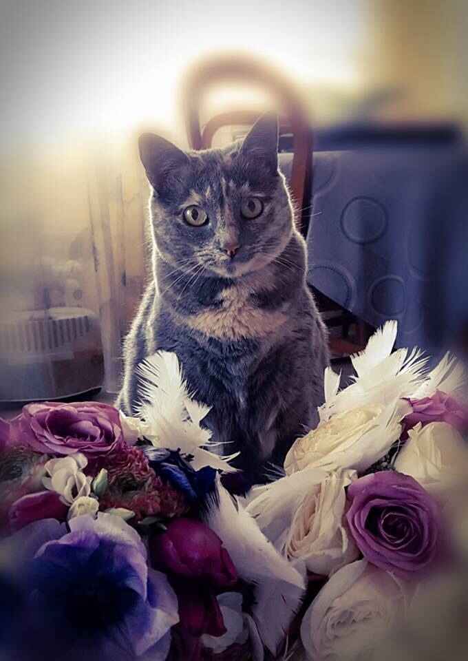 Kali prend la pose avec nos bouquets