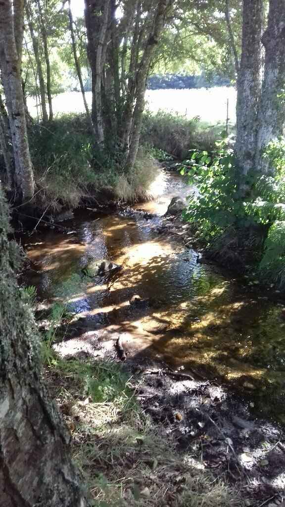 help !!! Besoin de vous pour surprise à mon homme  - 1