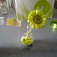 essai marque place table "terre"