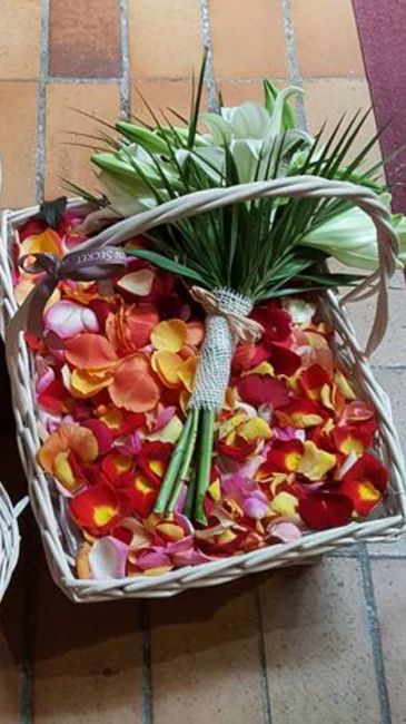 Thème bloqué, mais... - 1