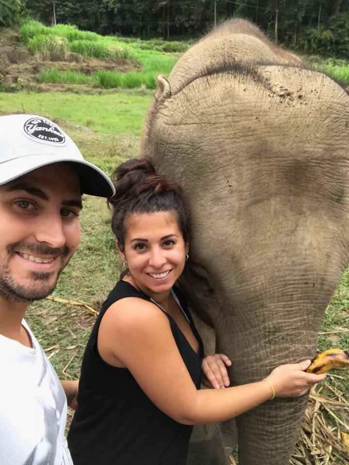 Montrez moi votre plus belle photo - 1