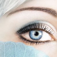 ou plutôt ce style ?