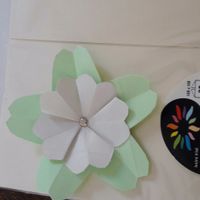 Fleur de cerisier