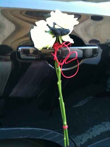 les portes de la voiture