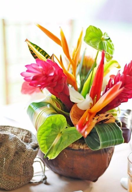 sous les soleils des tropiques!!