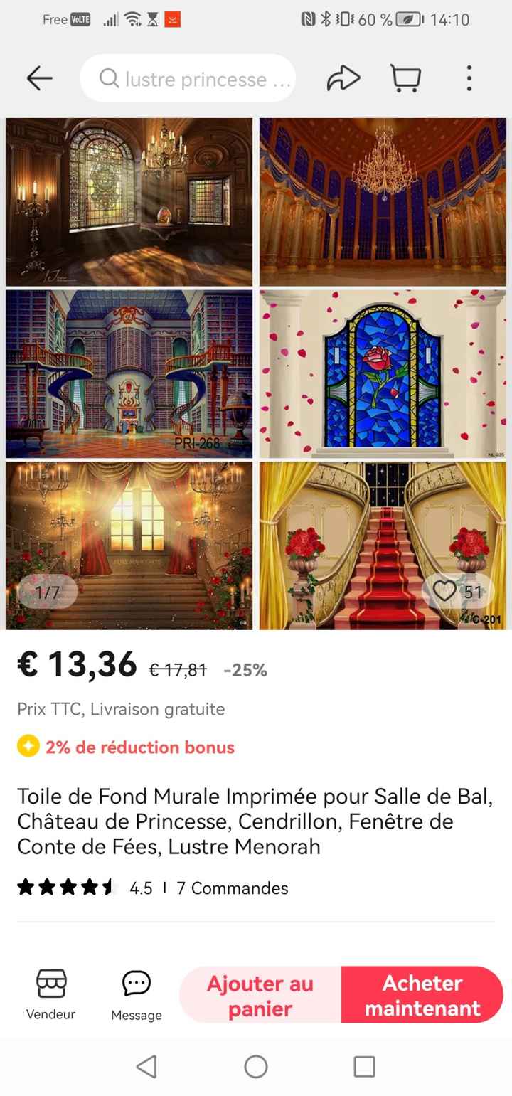 Mariage la belle et la bête - 1